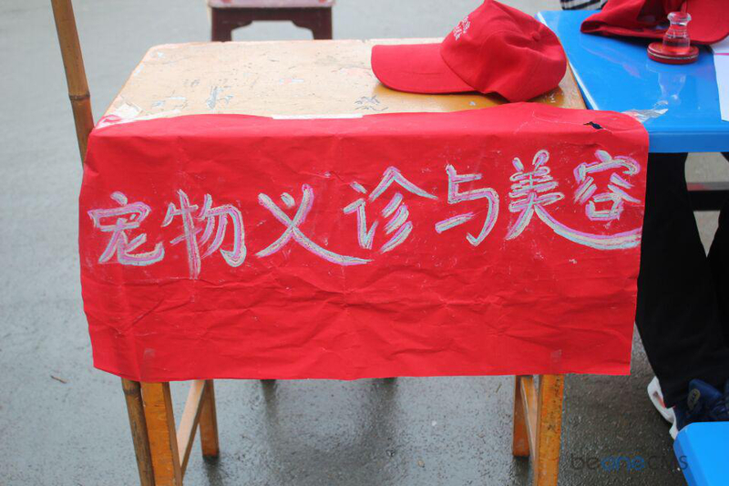 1510819702340033096.jpg Cache_-31433d66a34b782..jpg