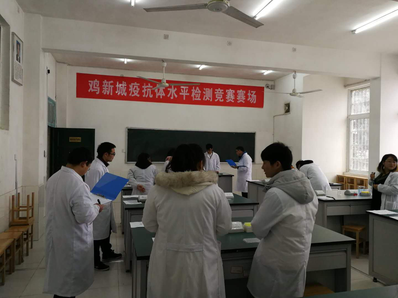 1513502623724071129.jpg 544308719182895801.jpg