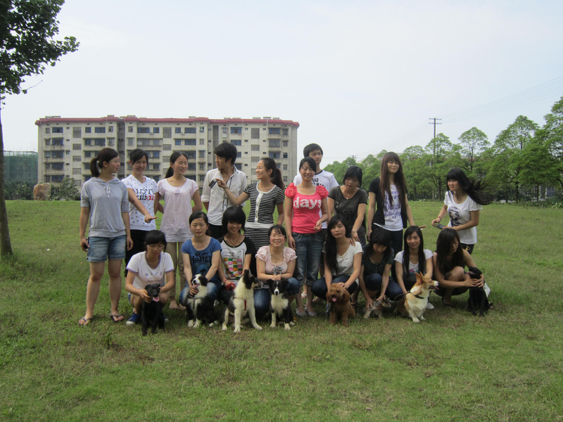 09宠物班实训.jpg